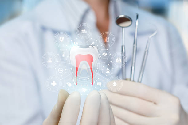 Best Full Mouth Reconstruction  in Goldsboro, NC